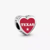 Charm mit der Texas-Blue-Bonnet-Flagge Charm mit der Texas-Blue-Bonnet-Flagge