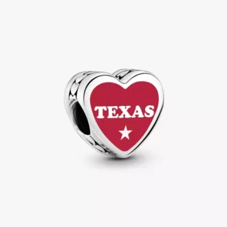 Charm mit der Texas-Blue-Bonnet-Flagge Charm mit der Texas-Blue-Bonnet-Flagge
