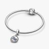 Dangle Charm mit der Landkarte von North Carolina Dangle Charm mit der Landkarte von North Carolina