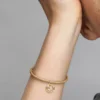 Dangle Charm mit Wassermann-Sternzeichen, 14-karätig vergoldet Dangle Charm mit Wassermann-Sternzeichen, 14-karätig vergoldet