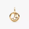 Dangle Charm mit Wassermann-Sternzeichen, 14-karätig vergoldet Dangle Charm mit Wassermann-Sternzeichen, 14-karätig vergoldet