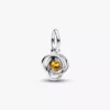 Eternity Circle-Dangle Charm-Armband-Set „November“ (2er-Set)