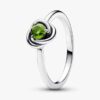 April-Geburtsstein Eternity Circle Ring – Sterlingsilber April-Geburtsstein Eternity Circle Ring – Sterlingsilber