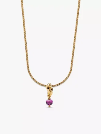 Februar Eternity Circle Dangle Charm Halskette, 2er-Set