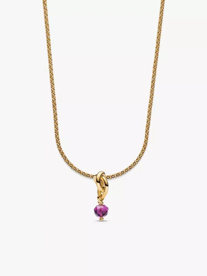 Februar Eternity Circle Dangle Charm Halskette, 2er-Set Februar Eternity Circle Dangle Charm Halskette, 2er-Set