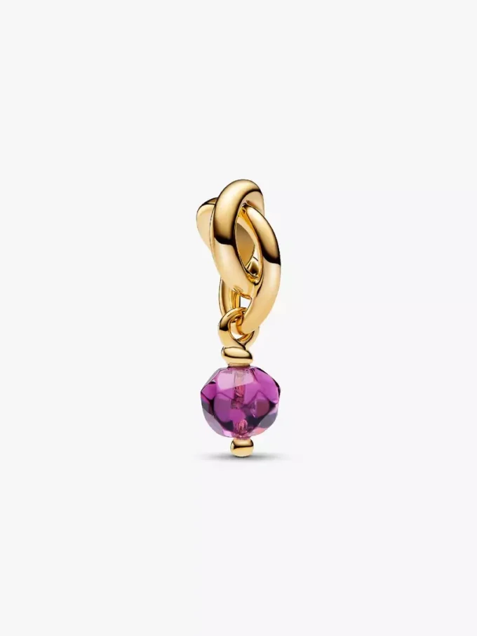 Februar Eternity Circle Dangle Charm Halskette, 2er-Set Februar Eternity Circle Dangle Charm Halskette, 2er-Set