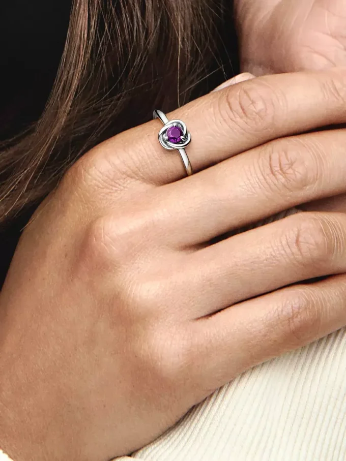 Februar: Lila Eternity Circle Ring aus Sterlingsilber Februar: Lila Eternity Circle Ring aus Sterlingsilber