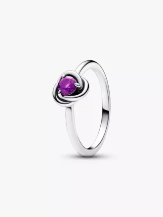 Februar: Lila Eternity Circle Ring aus Sterlingsilber
