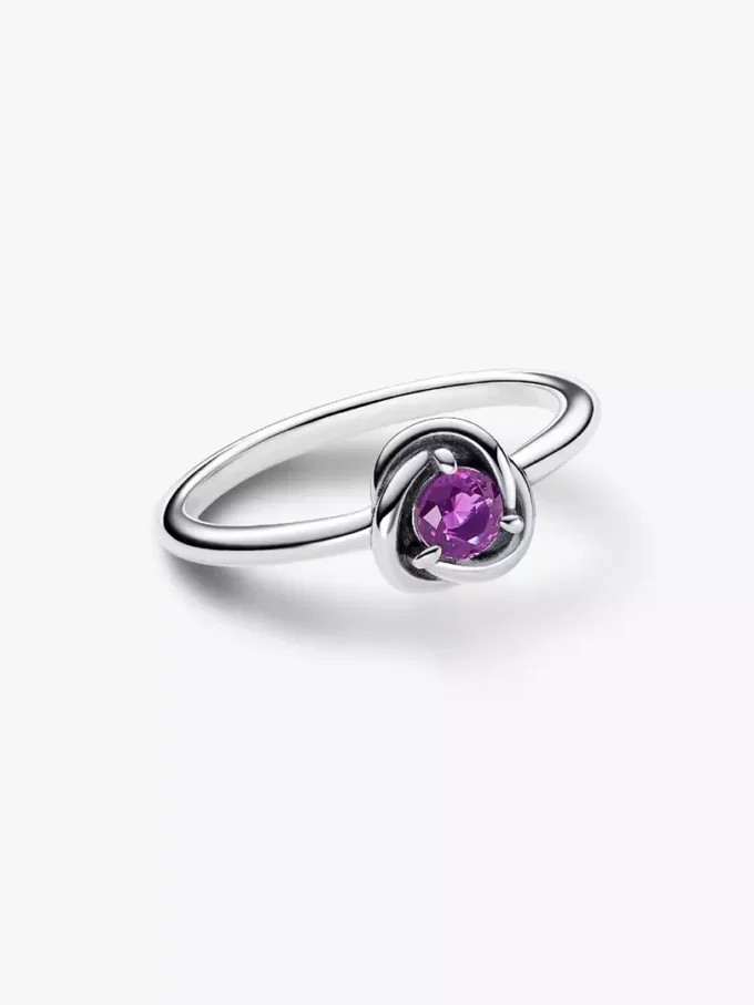 Februar: Lila Eternity Circle Ring aus Sterlingsilber Februar: Lila Eternity Circle Ring aus Sterlingsilber