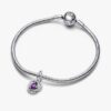 Blue Eternity Circle Dangle Charm – Sterlingsilber Blue Eternity Circle Dangle Charm – Sterlingsilber
