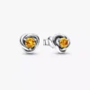 November Honey Eternity Circle Ohrringe aus Sterlingsilber November Honey Eternity Circle Ohrringe aus Sterlingsilber