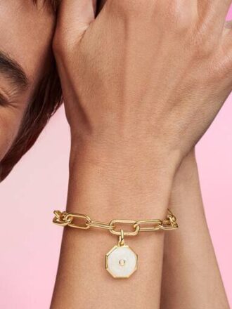 pandora me lucky horseshoe medallion charm 14 karat vergoldet 1 330x440 - Pandora ME Lucky Horseshoe Medallion Charm &ndash; 14 Karat vergoldet