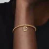 Sagittarius-Dangle Charm, 14-karätig vergoldet Sagittarius-Dangle Charm, 14-karätig vergoldet