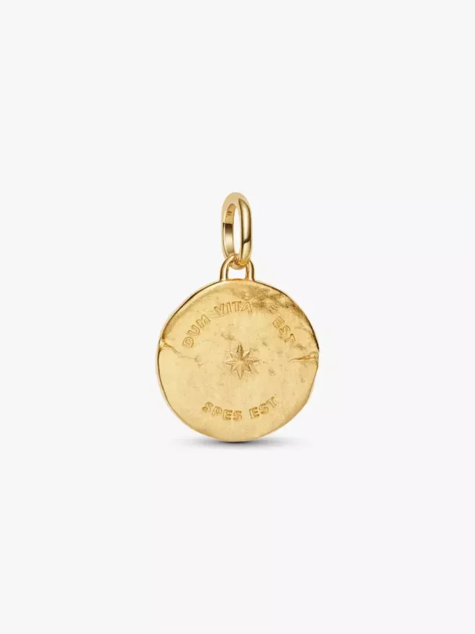 Schwalben-Medaillon-Charm, 14 Karat vergoldet Schwalben-Medaillon-Charm, 14 Karat vergoldet