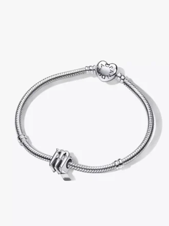 Skorpion-Sternzeichen-Charm-Armband-Set, 2er-Set