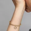 Stechfisch-Sternzeichen-Dangle Charm, 14-karätig vergoldet Stechfisch-Sternzeichen-Dangle Charm, 14-karätig vergoldet