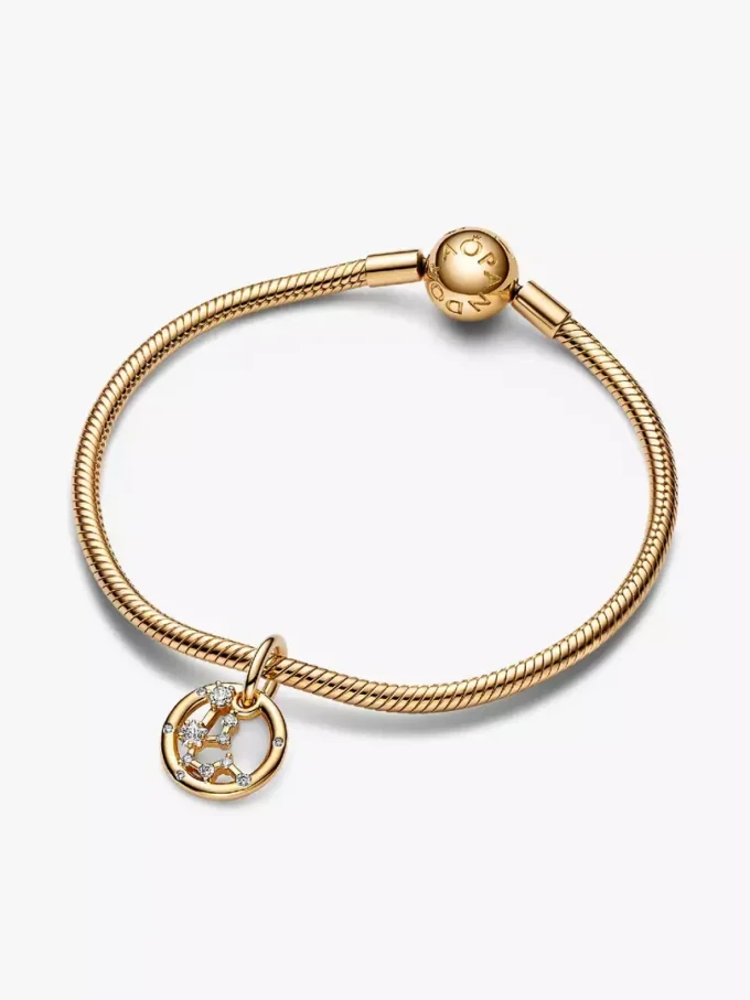 Wassermann-Dangle-Charm-Armband-Set, 2er-Set