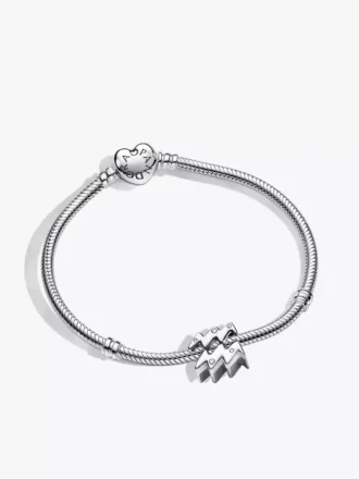 Wassermann-Sternzeichen-Charm-Armband-Set, 2er-Set